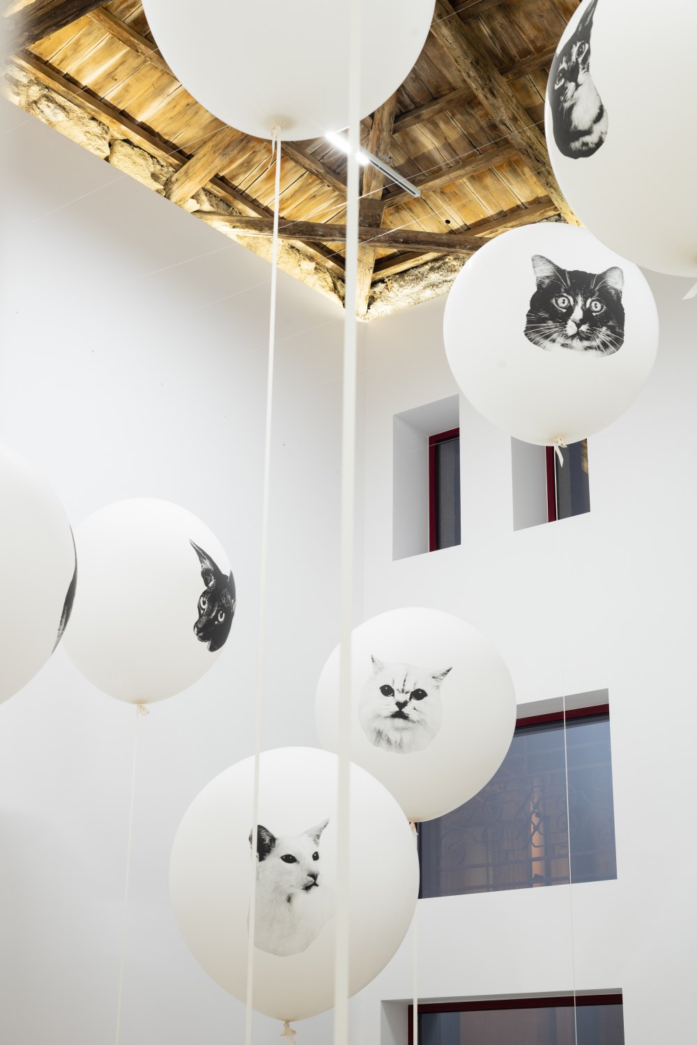 Installation view, John Knight, Headshots, a work in situ, Galerie Neu at the INTERMISSION, 2019