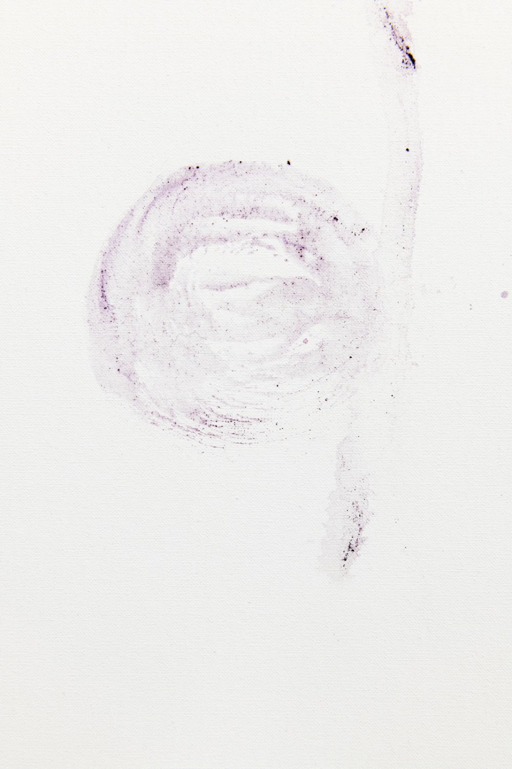 &nbsp;Snail Enigma 2, 2020, Tyrian purple on canvas, 80 x 67 x 2 cm, detail