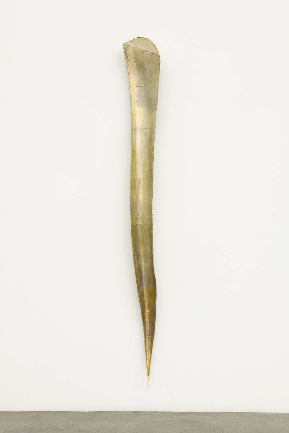 Yngve Holen Furrow, agave atrovirens, 2025 Brass,  204 x 21 x 12 cm