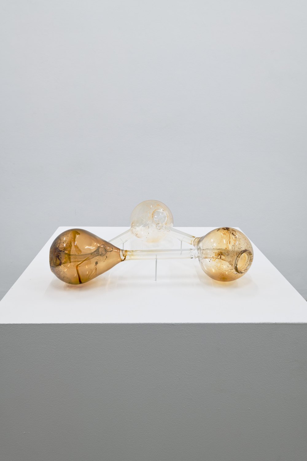 Jeremy Shaw The Distance Between Infinite Folds Is Still You, 2025 Flame-worked glass klein bottles, vaporized dimethyltripamine (DMT)