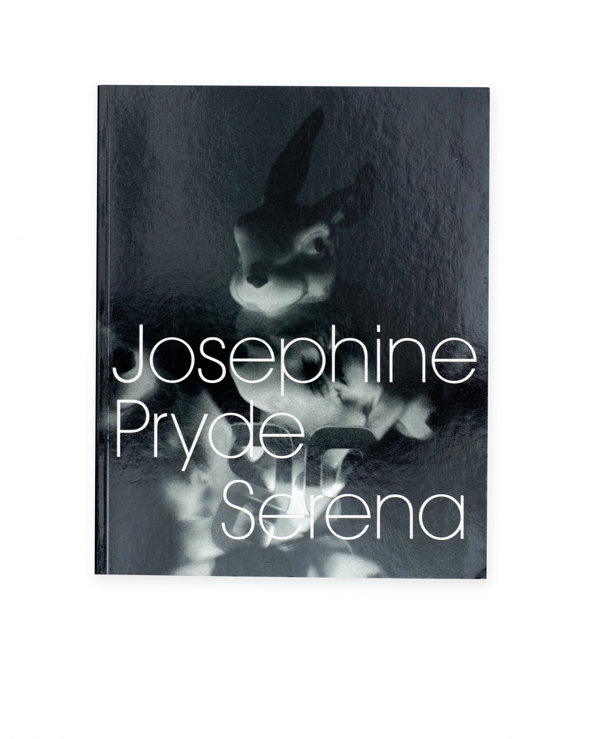Josephine Pryde, Josephine Pryde  Serena, Catalogue, Kunstverein, Braunschweig 2001, 71 p.  ISBN 978-3-92927-034-1