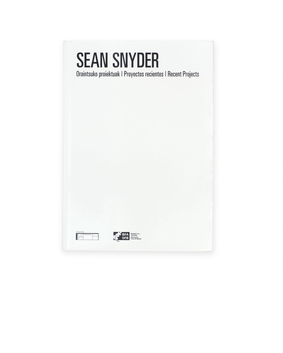 Sean Synder, Oraintsuko proiektuak  Proyectos recientes. Recent Projects, Catalogue, Sala Rikalde, Bilbao 2007, 169 p.  ISBN 978-8-48855-954-8